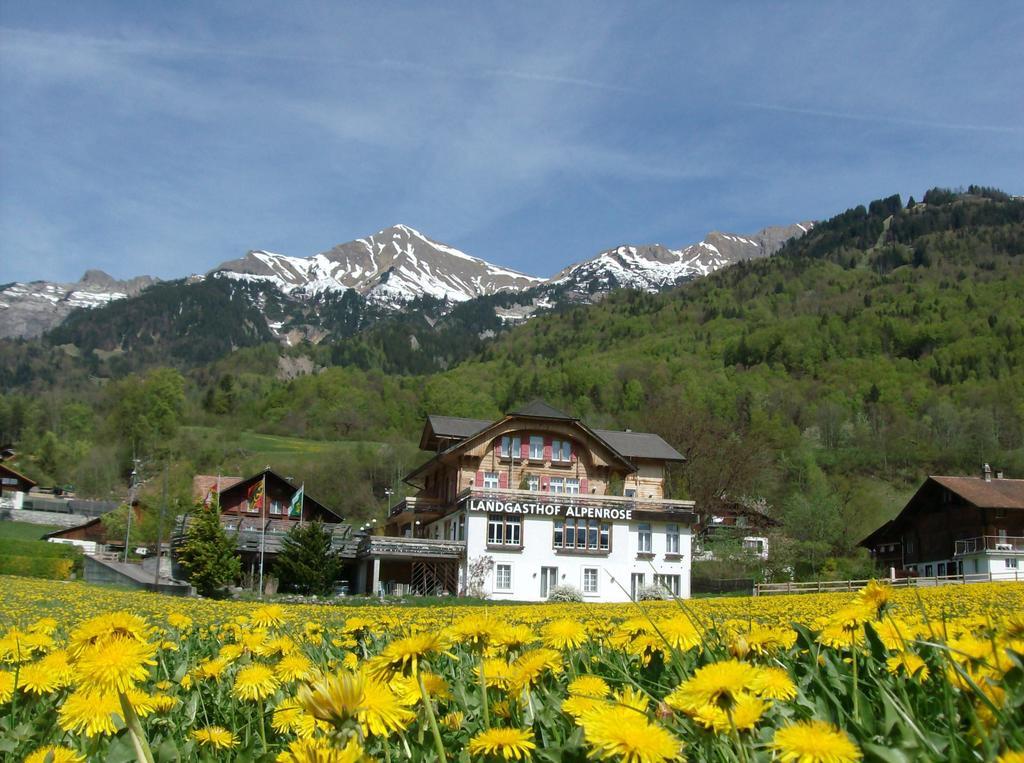 Hotel Alpenrose Beim Ballenberg Hofstetten bei Brienz Eksteriør billede